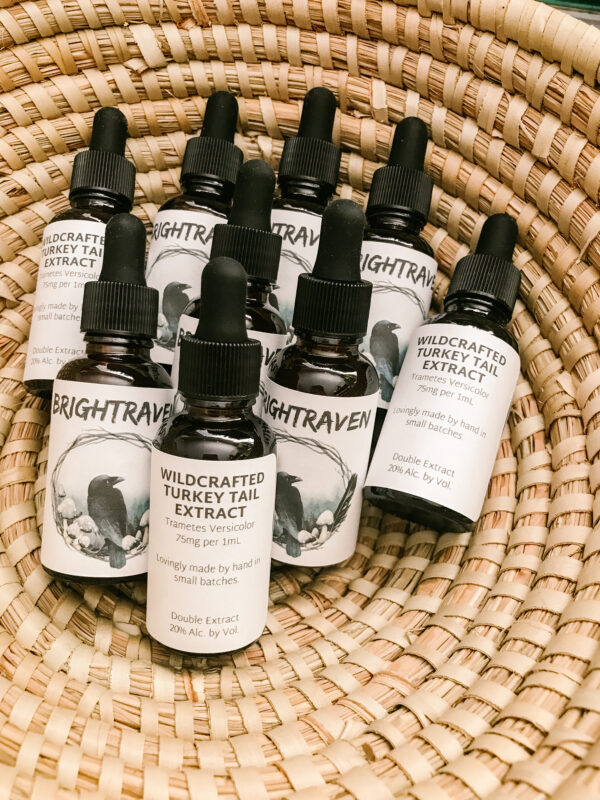 Wildcrafted Turkey Tail Extract